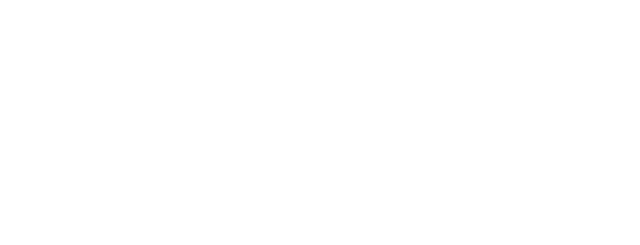 SG Bras